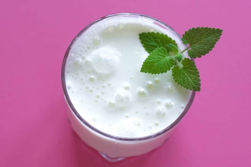 Ayran drink Canada | 500ml - Image 2