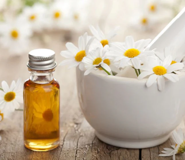 Chamomile Oil | Papatya yagi | 20ml - Image 3