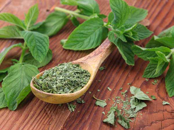 Dried Mint | Monticelli | Kuru nane | 85g - Image 3