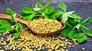 Fenugreek Powder | Basak | 30g - Image 3