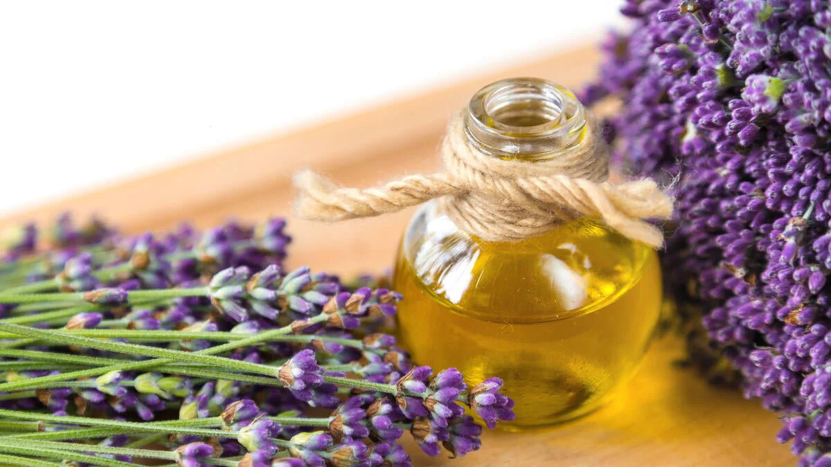 Lavender Essential Oil | Lavanta yagi | 20ml - Image 3