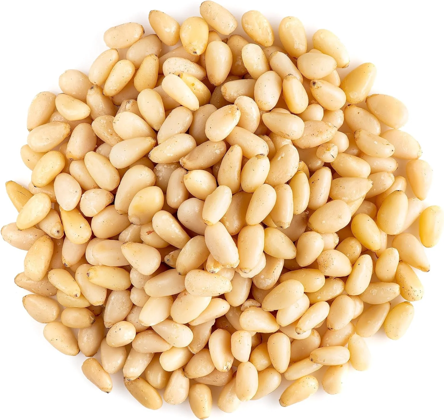Pine Nuts | 100g - Image 2