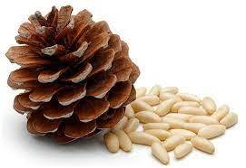 Pine Nuts | 100g - Image 3