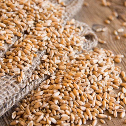 Whole Wheat Grains | Gardenia | 907g